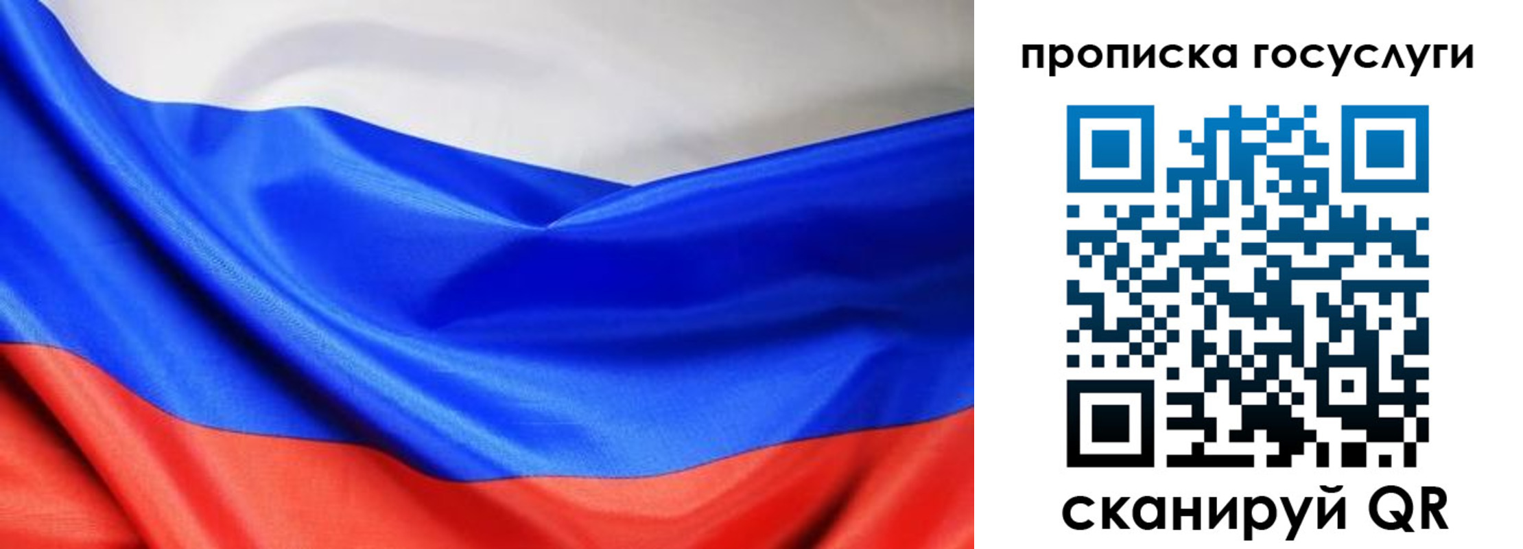 временная регистрация поиск в Сольцах